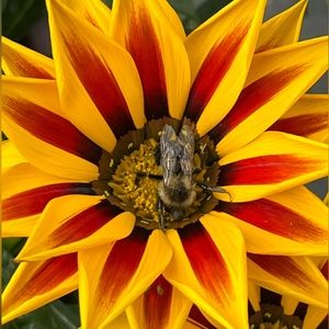 Meet your Posher, Stefanie